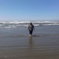 Deborah Gates Photo 20