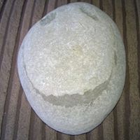 Rebekah Marshall Photo 29