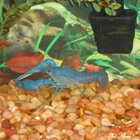 Tammy Stuart Photo 41