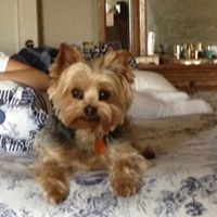 Sharon Silva Photo 28