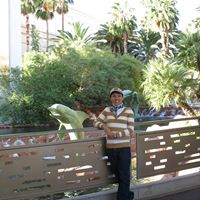 Christina Chang Photo 40