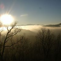 Marlene Ross Photo 17