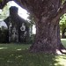 Patrick Sheehan Photo 24