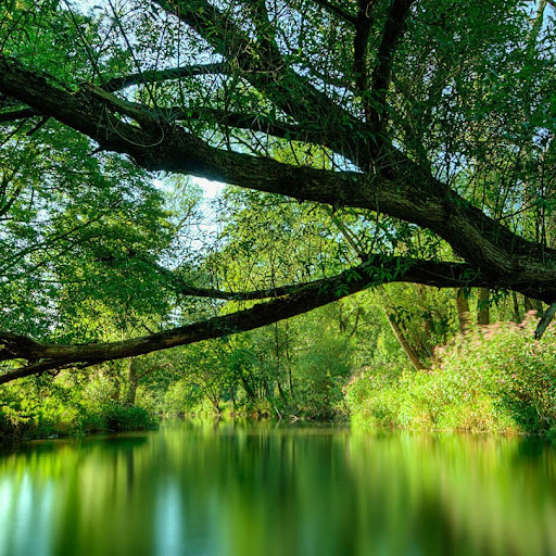 Pauline Keating Photo 5