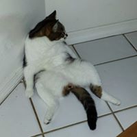 James Ragan Photo 28