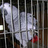 Monique Greene Photo 31