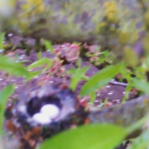 Sherry Burns Photo 10