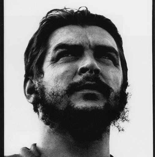 Luis Castillo Photo 59 Luis Castillo Photo 59