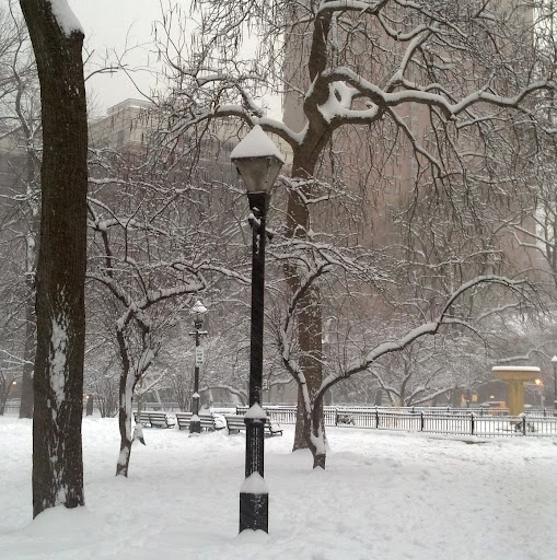 Nancy Steiner Photo 17