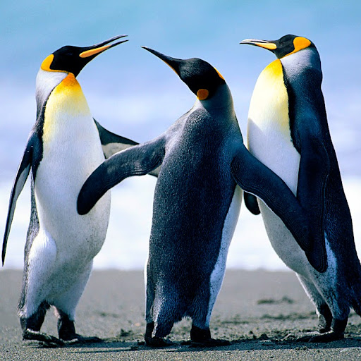 Cynthia Klein Photo 21