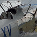Stephen Hinds Photo 16