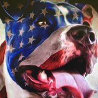 Dorothy Phillips Photo 24