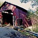 Lawrence Howe Photo 18