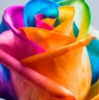 Megan Osborne Photo 23