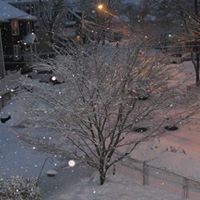 Virginia Russell Photo 19