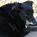 Beatrix Brown Photo 10