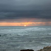 Julie Farris Photo 16
