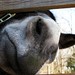 Frances Carter Photo 18