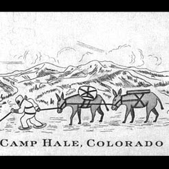 David Witte Photo 20