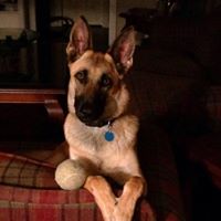 Mandy Heath Photo 10