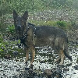 Edward Kavanagh Photo 30