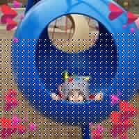 Vicki Fleming Photo 16