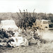 Janie Townsend Photo 14