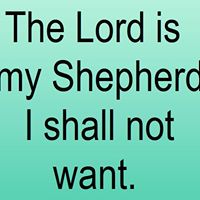 Pamela Paul Photo 32