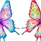 Debbie Acevedo Photo 2