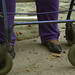 Glenda Walker Photo 18