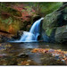 James Rabun Photo 22