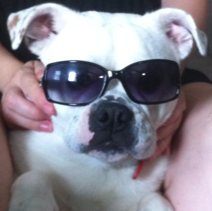 Crystal Callahan Photo 21