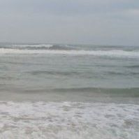 Joseph Gates Photo 39