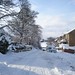 John Thorner Photo 7