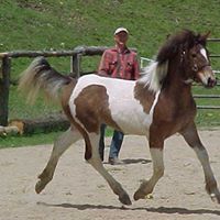 Doug Freeman Photo 16 Doug Freeman Photo 16