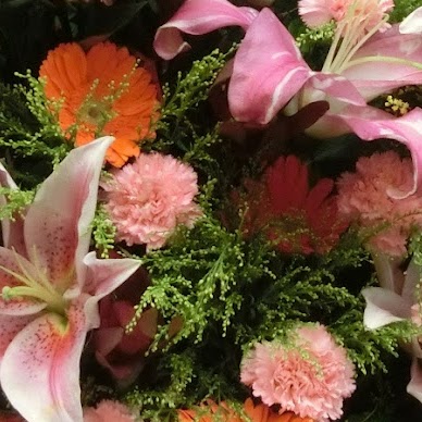 Frances Leung Photo 23