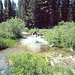 Sandra Cross Photo 36