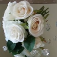 Ann Cross Photo 29