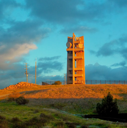 Daniel Burns Photo 47