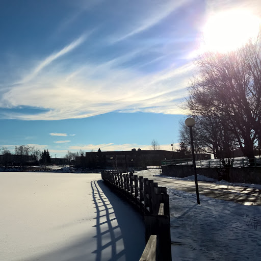 Pauline Henry Photo 33