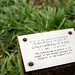 Diana Stubbs Photo 17