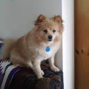 William Carr Photo 36