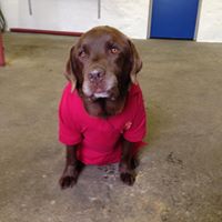 Anne Vang Photo 8 Anne Vang Photo 8