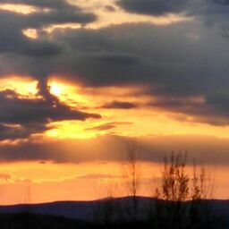 David Conover Photo 37
