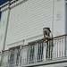 Gary Capps Photo 31