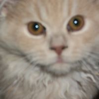 Kathy Marshall Photo 14