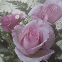 Katherine Merrick Photo 4