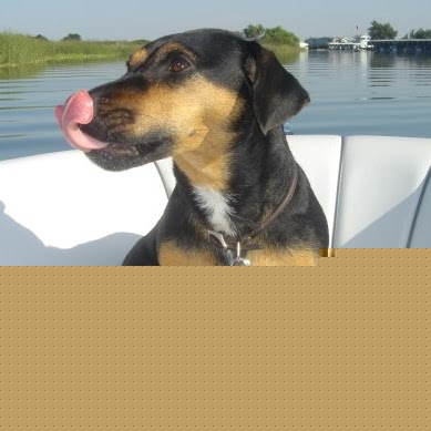 Kelli Pearson Photo 11