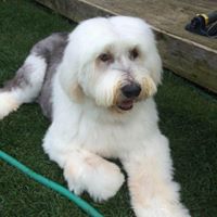 Deborah Jacobson Photo 15 Deborah Jacobson Photo 15