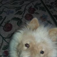 Latonya Clark Photo 18